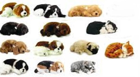 PERFECT PETZZZ