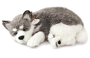 PERFECT PETZZZ ALASKAN HUSKY PLUSH PUPPY BREATHING HUGGABLE ANIMAL DOG REAL PET