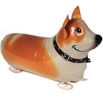 CORGI DOG WALKING BALLOON ANIMAL