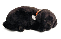 PERFECT PETZZZ BLACK LAB PLUSH PUPPY BREATHING HUGGABLE ANIMAL DOG REAL PET SOFT