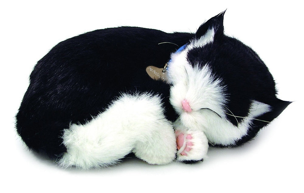 PERFECT BLACK&WHITE SHORTHAIR PLUSH BREATHING HUGGABLE ANIMAL CAT REAL KITTEN